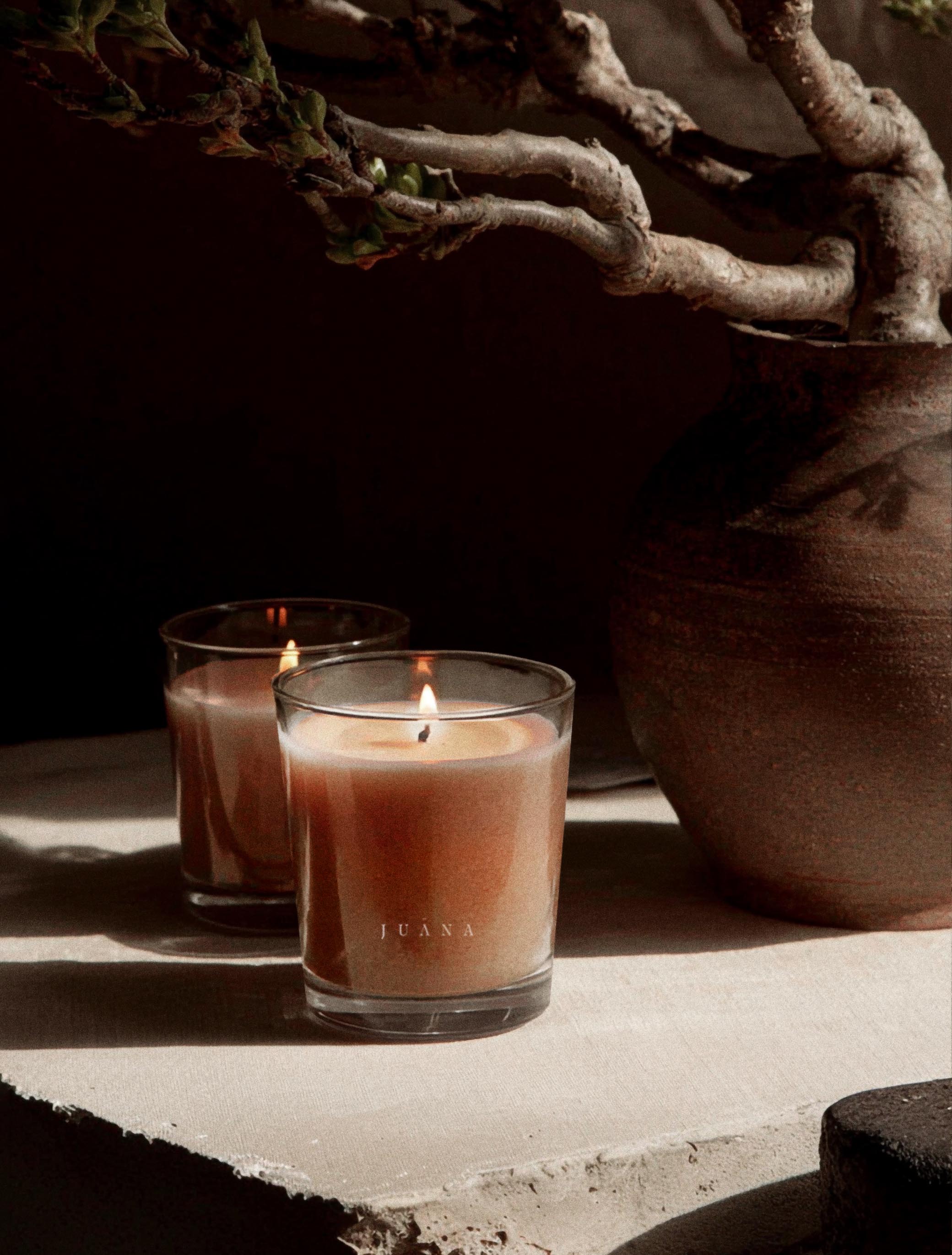 Bergamot + Sativa | Uplift Candle - Image 3
