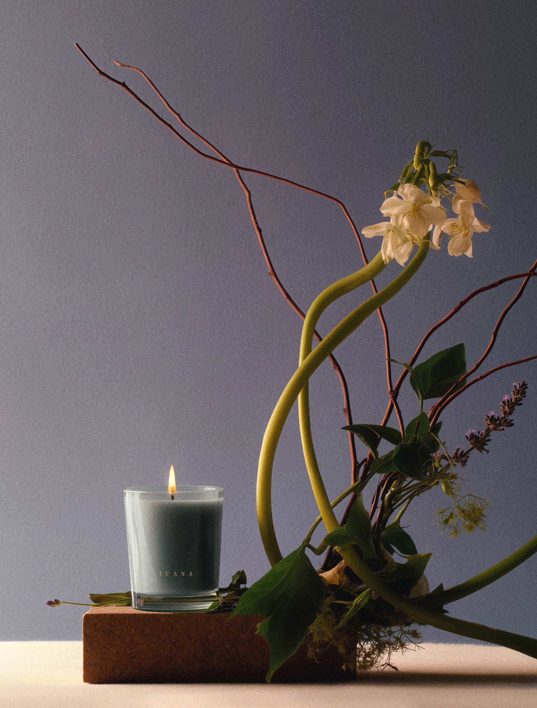 Cassis + Rosemary | Focus Candle - Image 3