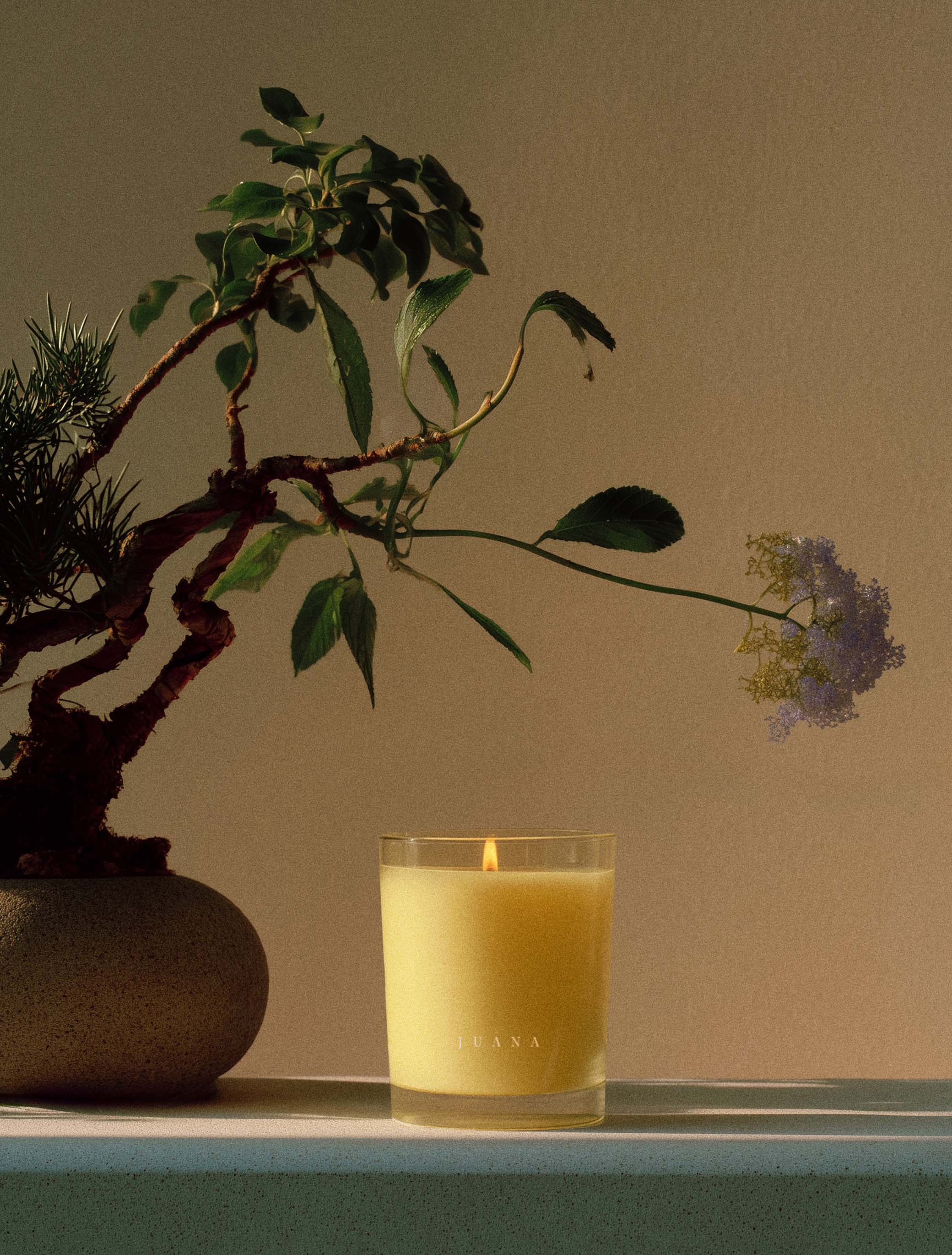 Cypress + Mint | Recover Candle - Image 3