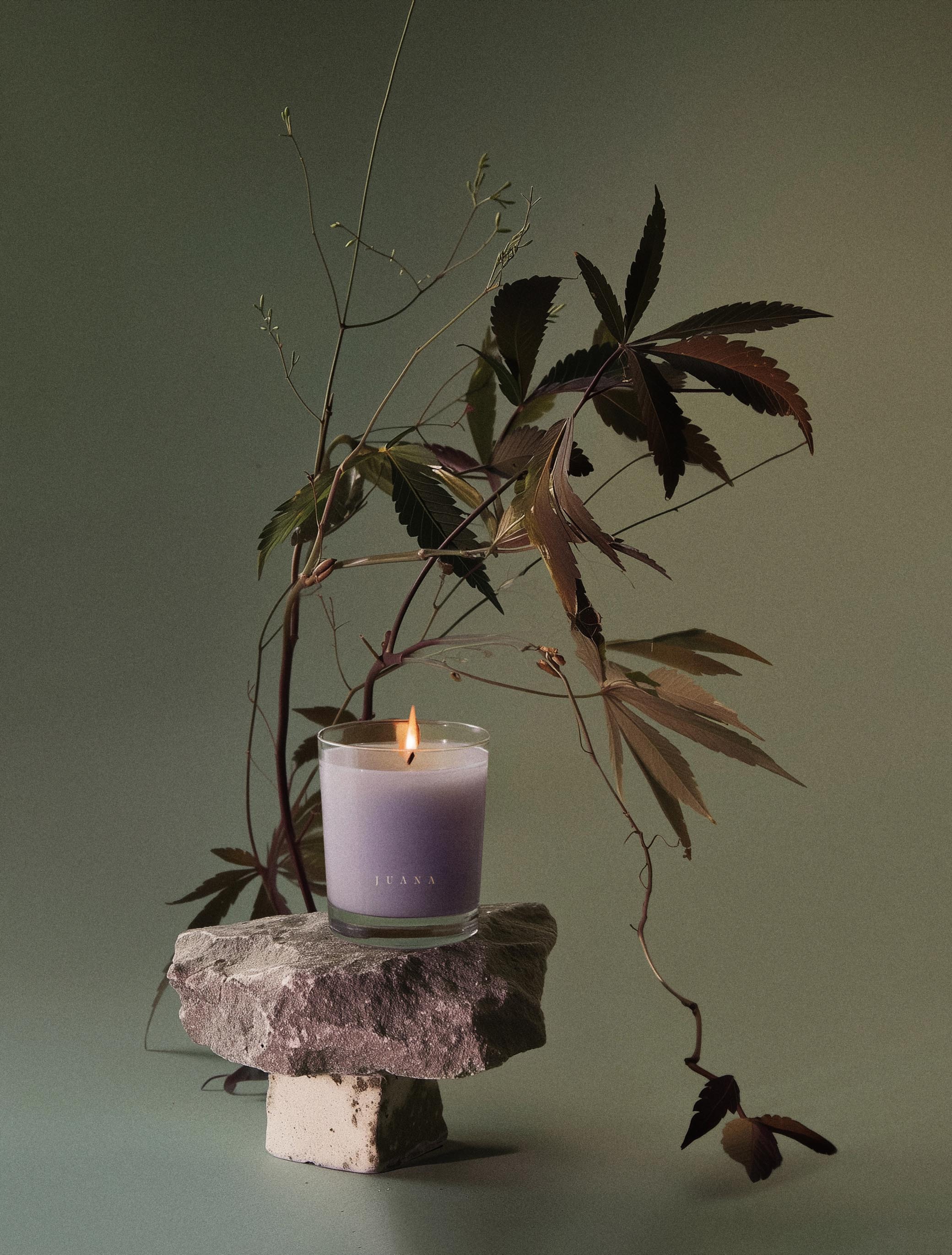Sandalwood + Hashish | Sleep Candle - Image 3