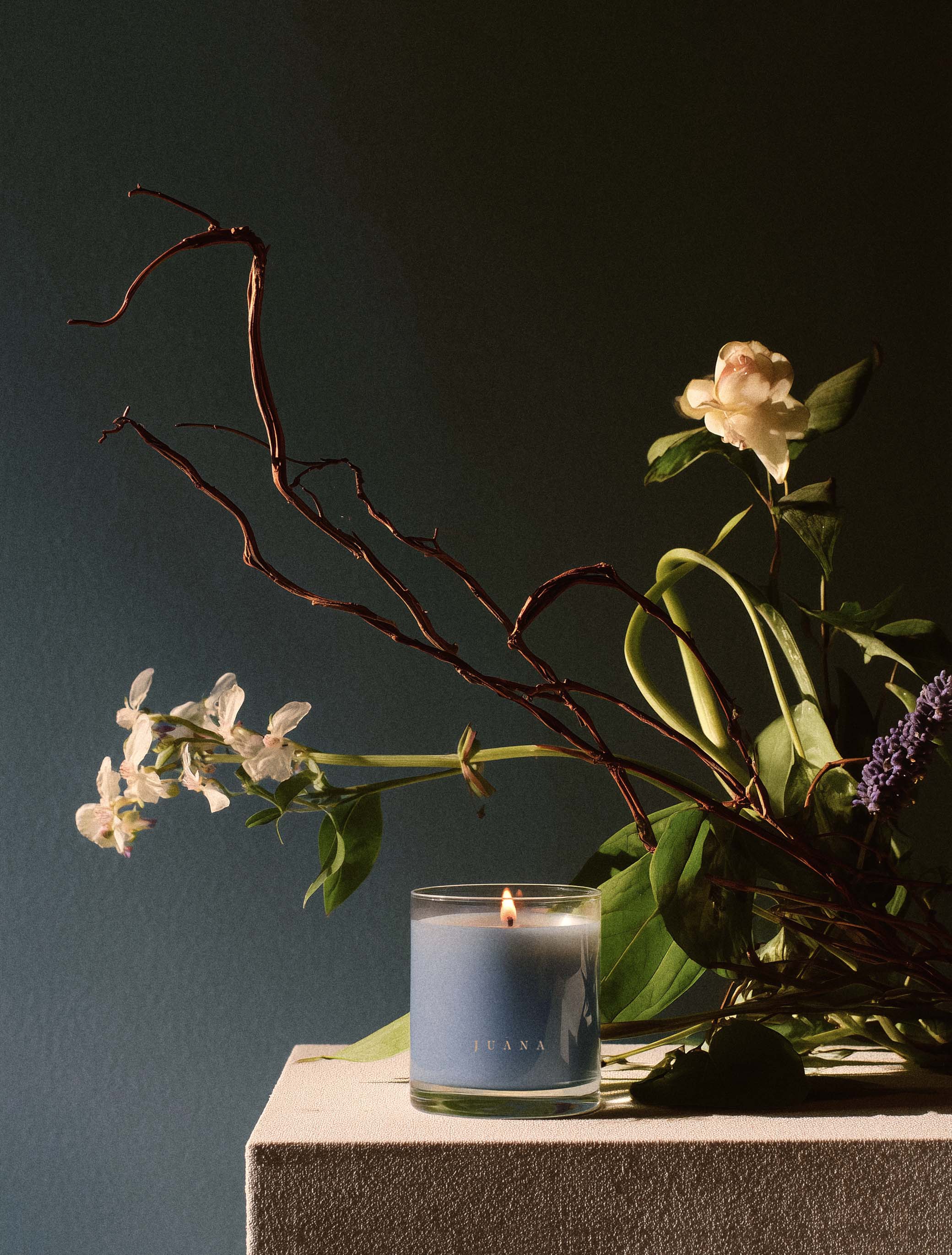 Cassis + Rosemary | Focus Candle - Image 3
