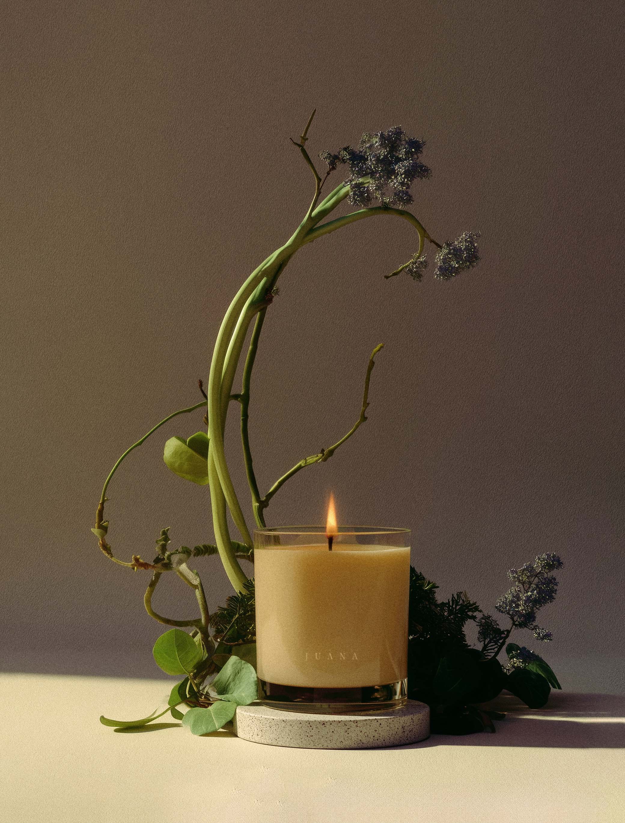 Cypress + Mint | Recover Candle - Image 3